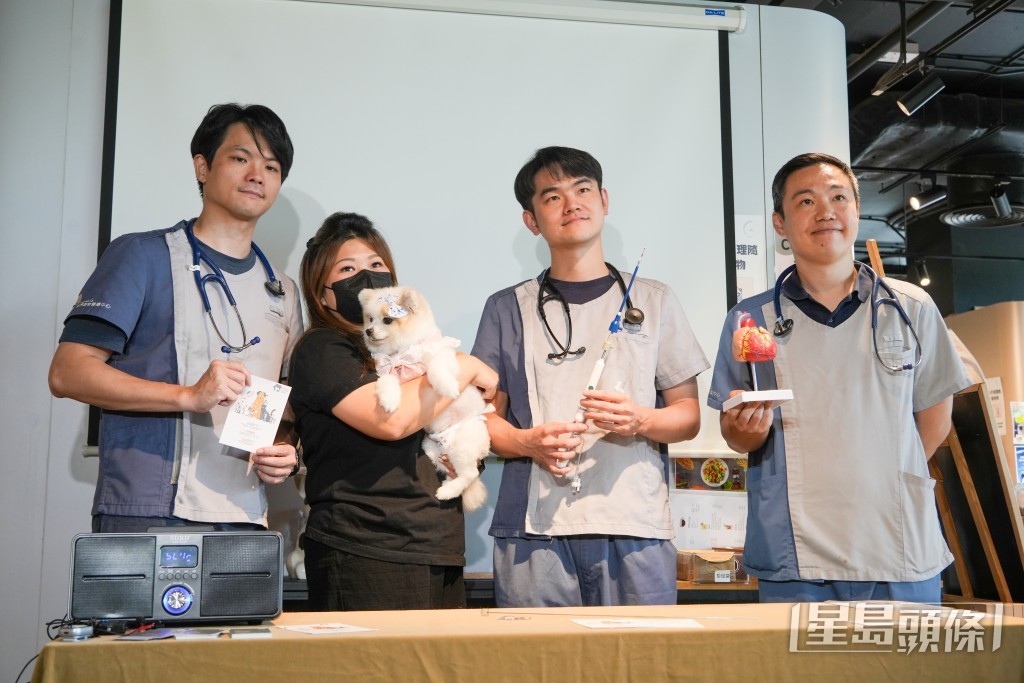 一隻患有嚴重二尖瓣逆流的十歲松鼠狗順利完成微創手術，並於術後翌日恢復走動。吳艷玲攝