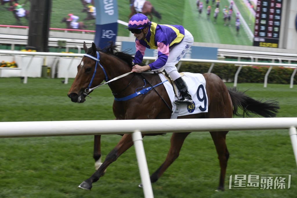「快靓旺」今仗只要再跑出水准，有力争取连捷。