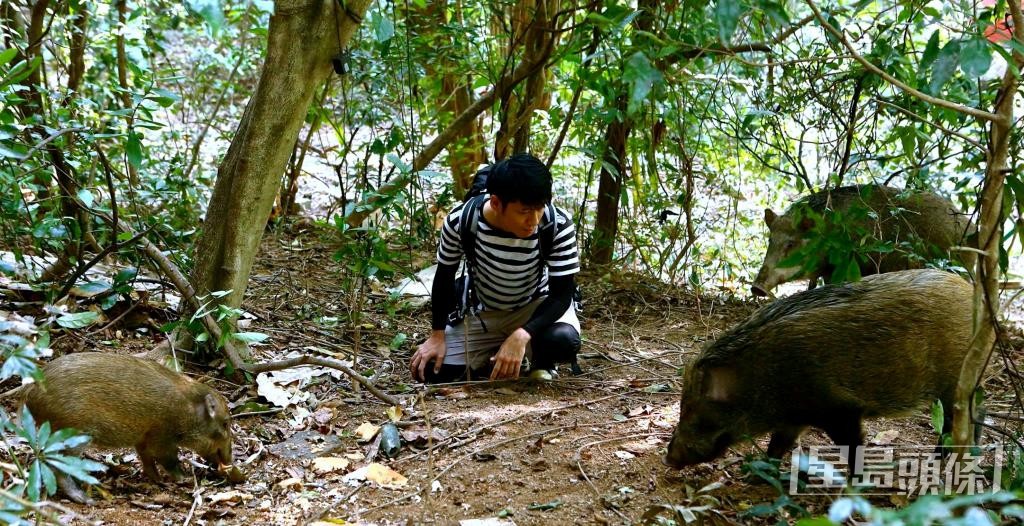 漁護署表示，正全面檢視野生動物的管理策略，預計今年上半年完成。