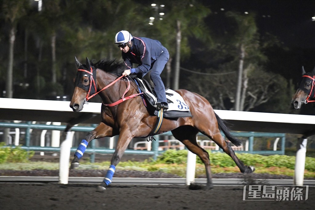 「活力精神」神采奕奕，力度充沛暗火展現。