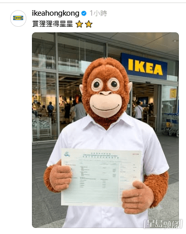 連連鎖傢俬店IKEA(宜家家居)的小編都突入出圖神級「抽水」。(帖文留言截圖) 連連鎖傢俬店IKEA(宜家家居)的小編都突入出圖神級「抽水」。(帖文留言截圖)