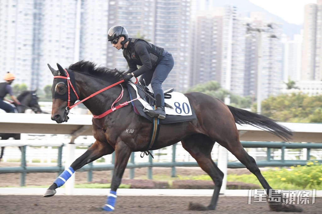 「自動自覺」充滿競賽意慾，至今最弗一次。