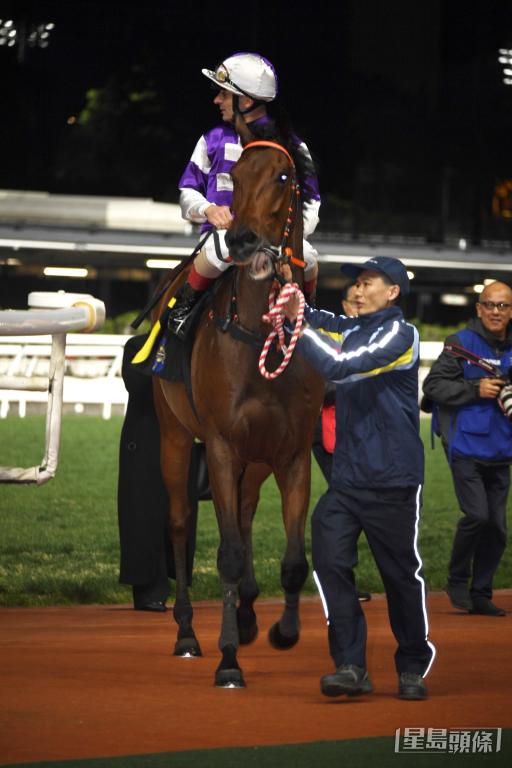 「論文」明晚再跑贏馬路程。