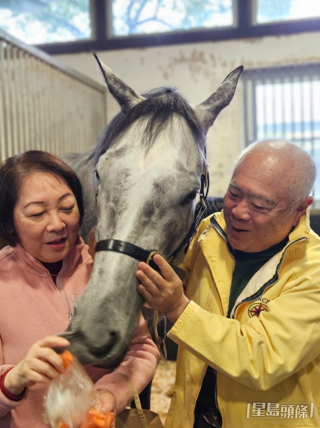 范邦初今天到馬房探望「超勁熊威」。 范邦初今天到馬房探望「超勁熊威」。