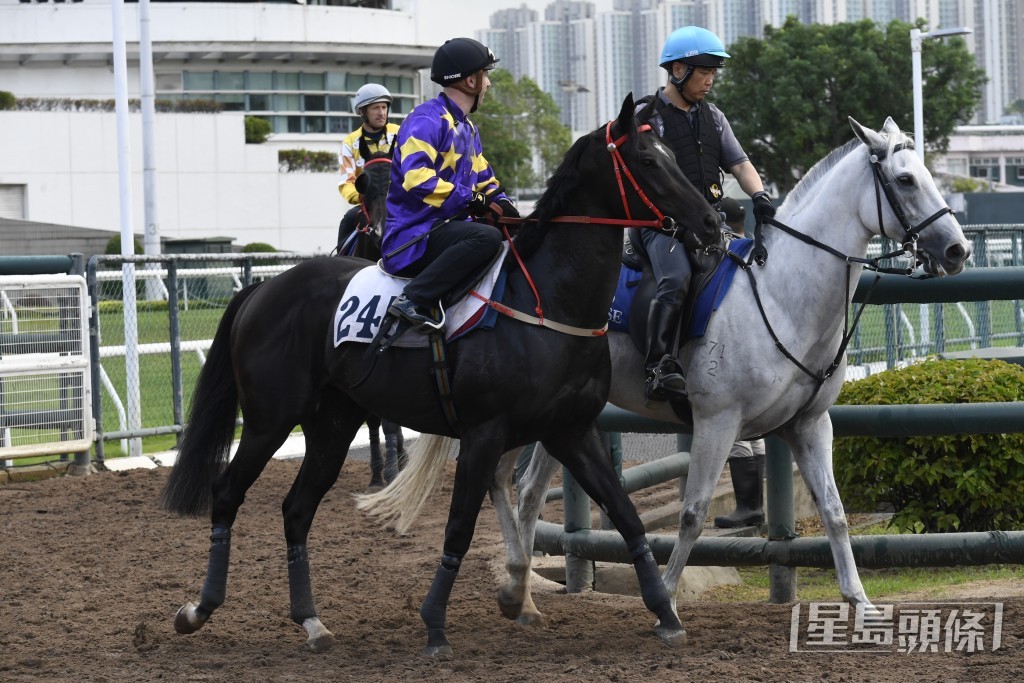 「綠野飛馳」體力充裕，今仗有力收復前失。