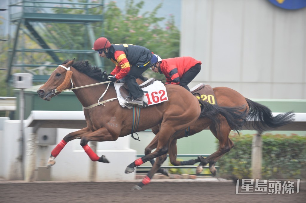 「開心指數」力度神態均好過之前，早熟極速入局。