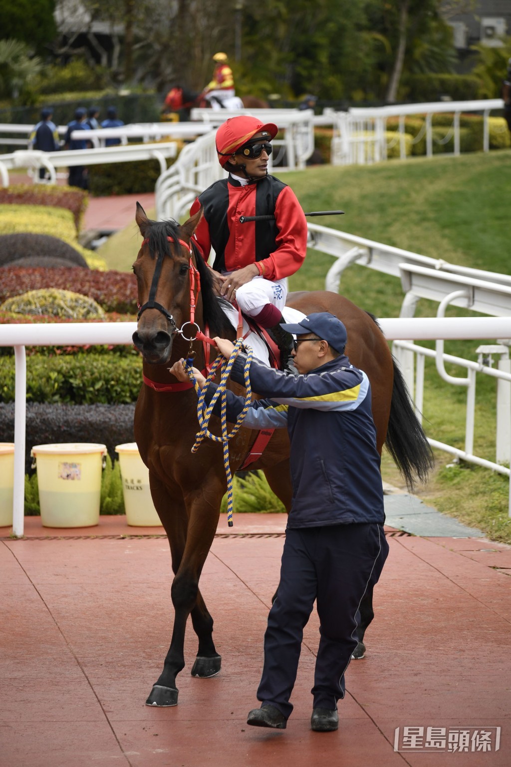 「鄉村樂韻」再跑同程一千米，爭取季內第三場頭馬。