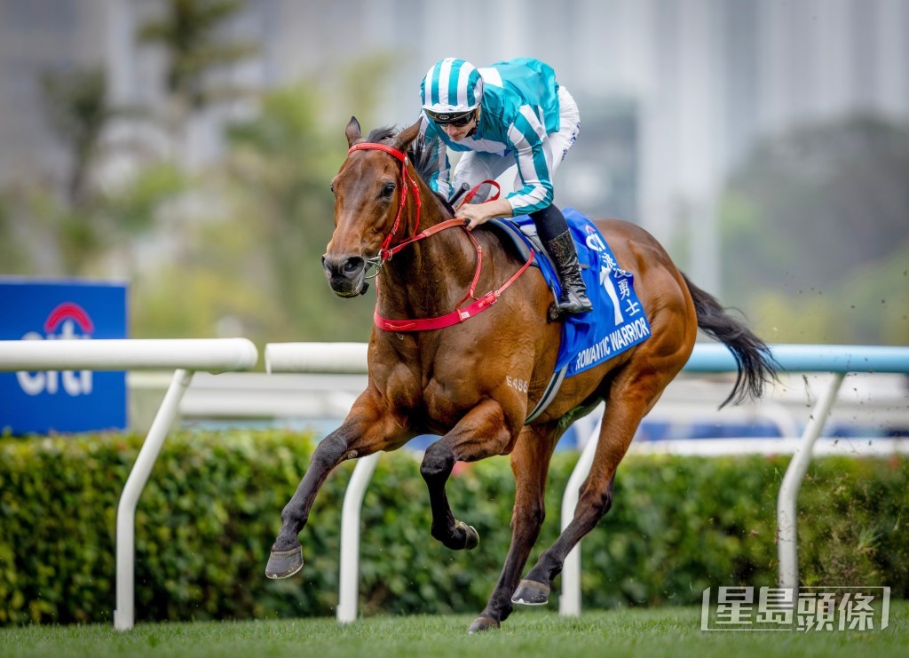 「浪漫勇士」於3月1日揚威一級賽花旗銀行香港金盃 (2000米)，累積十三場一級賽冠軍，刷新本身保持的一項香港紀錄，也進一步奠定牠在世界馬壇的前列地位。