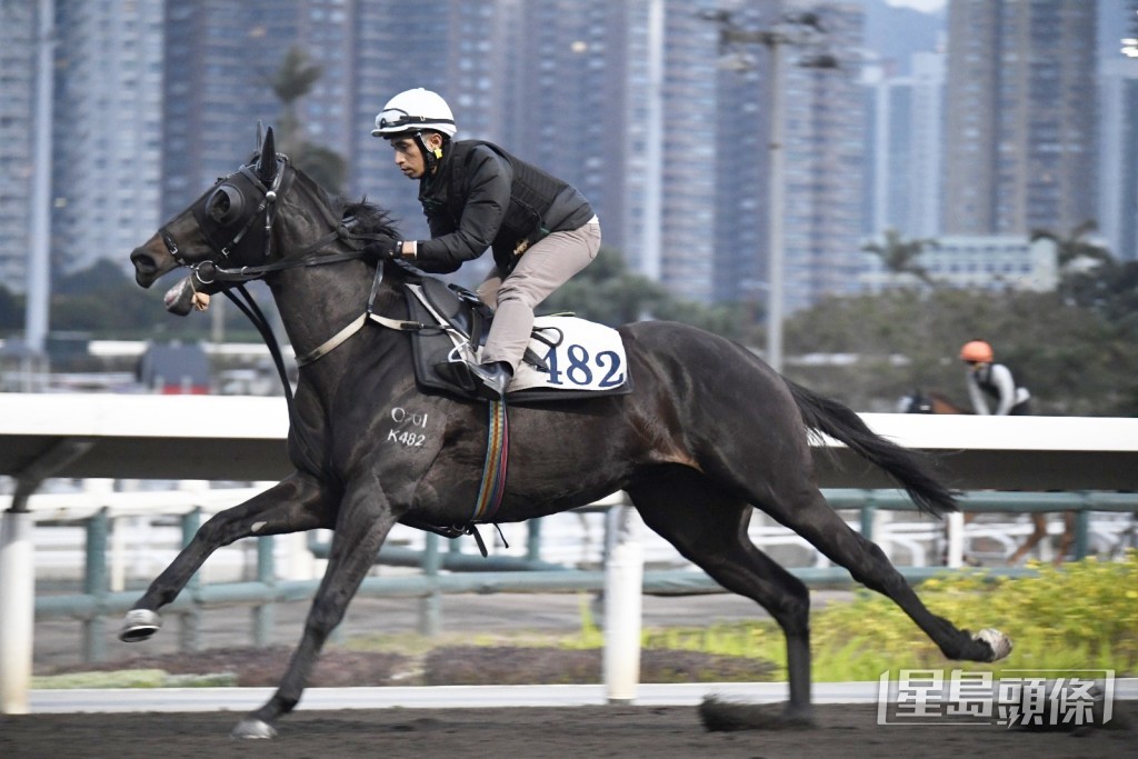 「綫路樂樂」 「綫路樂樂」