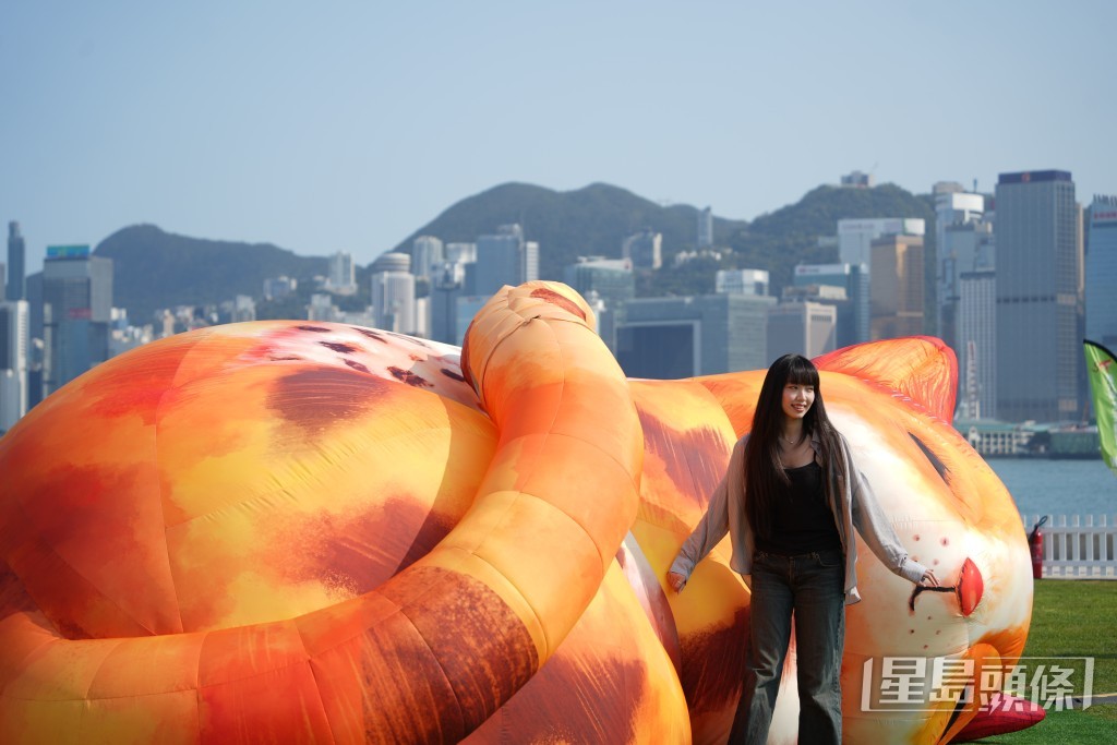 互動藝術裝置《夢遊喵境》首次於亞洲展出。