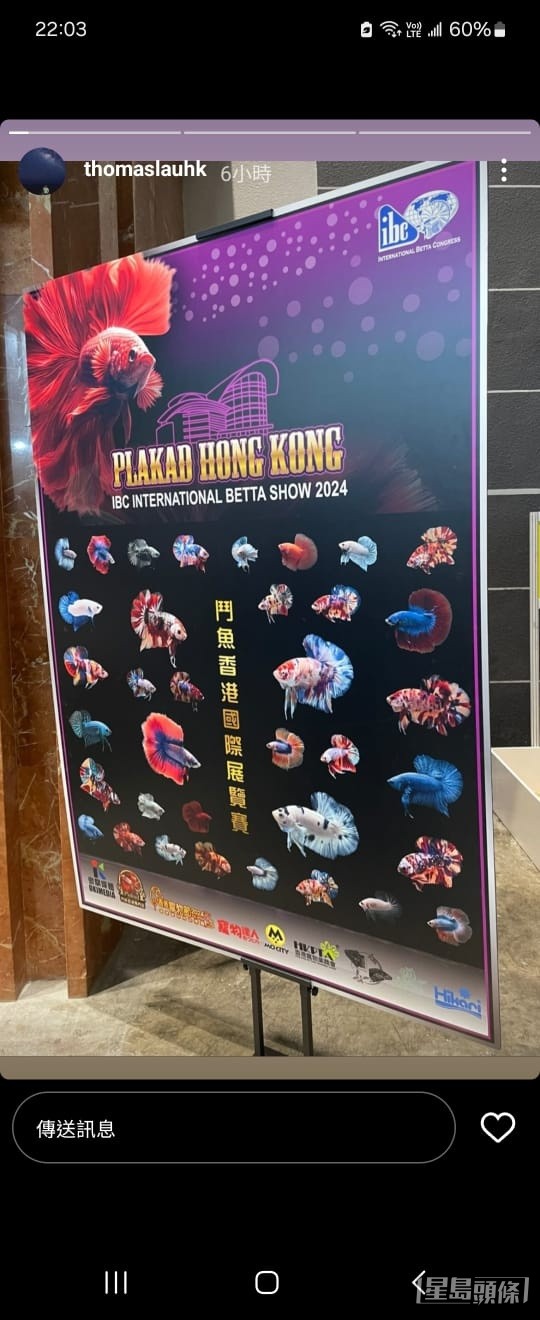 劉心暉養的鬥魚在今屆「鬥魚香港國際展覽賽」在其中一個分組勝出得到冠軍。 劉心暉養的鬥魚在今屆「鬥魚香港國際展覽賽」在其中一個分組勝出得到冠軍。