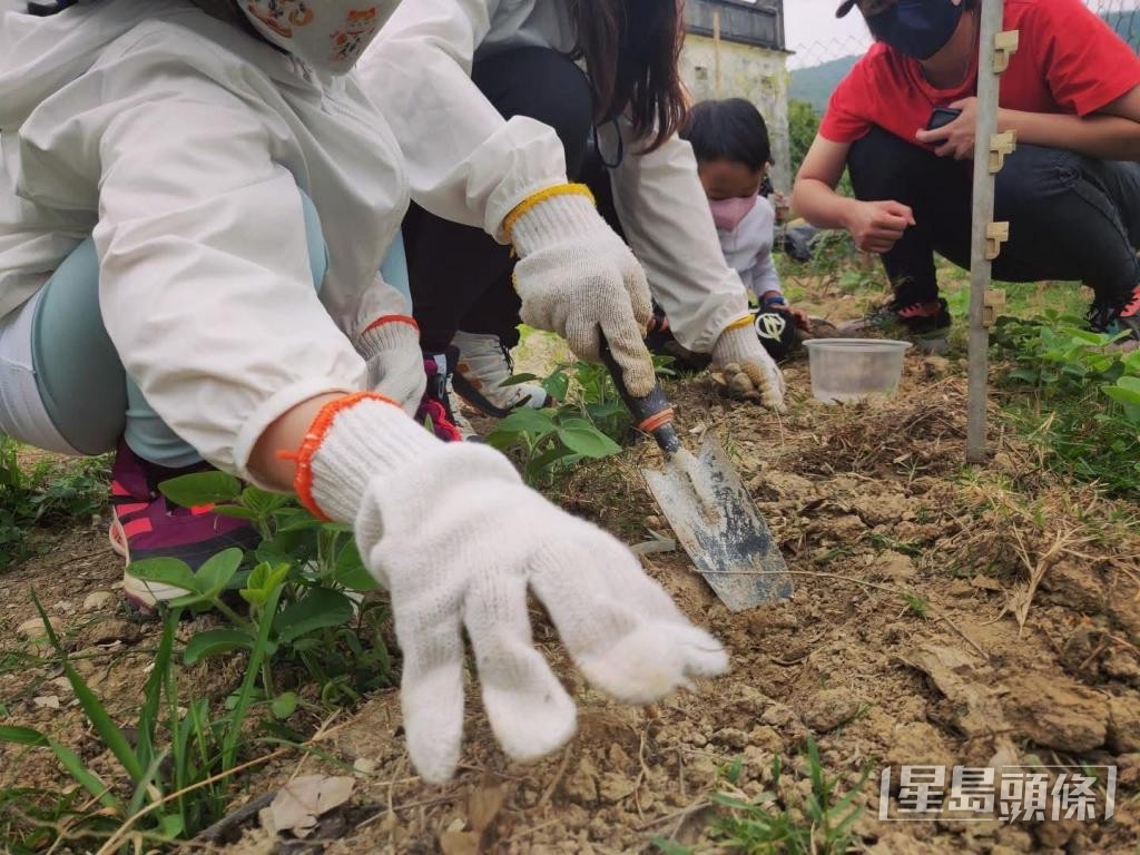 工作坊會讓孩子翻土種植,體驗農家生活。 受訪者提供 工作坊會讓孩子翻土種植,體驗農家生活。 受訪者提供