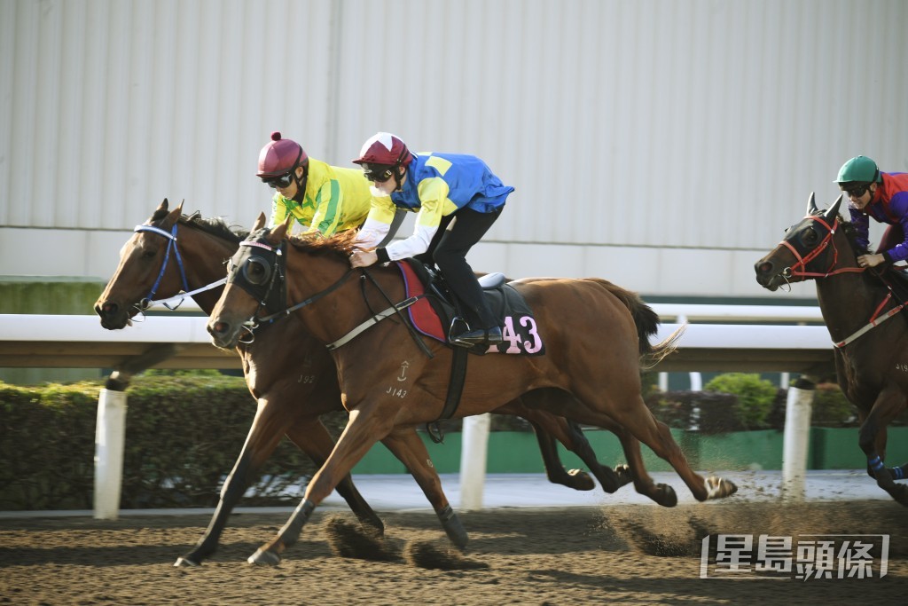 「日馳千里」馬身實淨，毛色油潤。