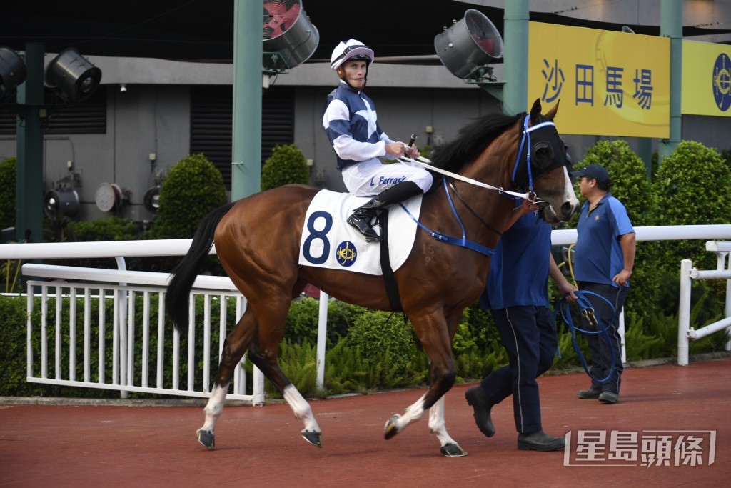 「星運少爵」上季數度上名，已證明本身能力，今季踏入五歲，可以預期續有進步。