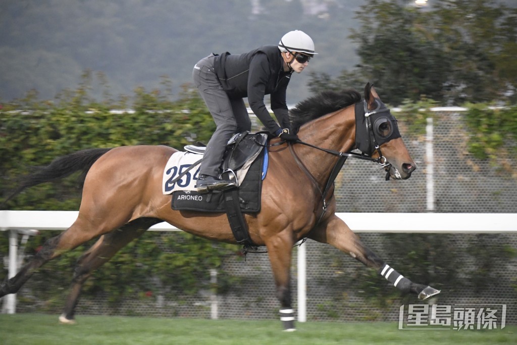 「同益善」雙目有神朝氣勃勃，上佳水準及鋒而試。