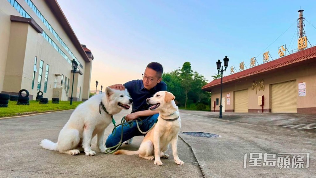 馬浚偉自爆在公司深圳園區收養流浪犬 。