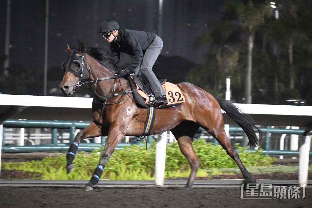 「高高至高」马身收靓火力增强，进度理想。