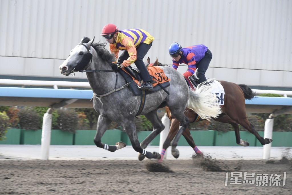 「威利金箭」来港前曾在澳洲赢出三级赛。