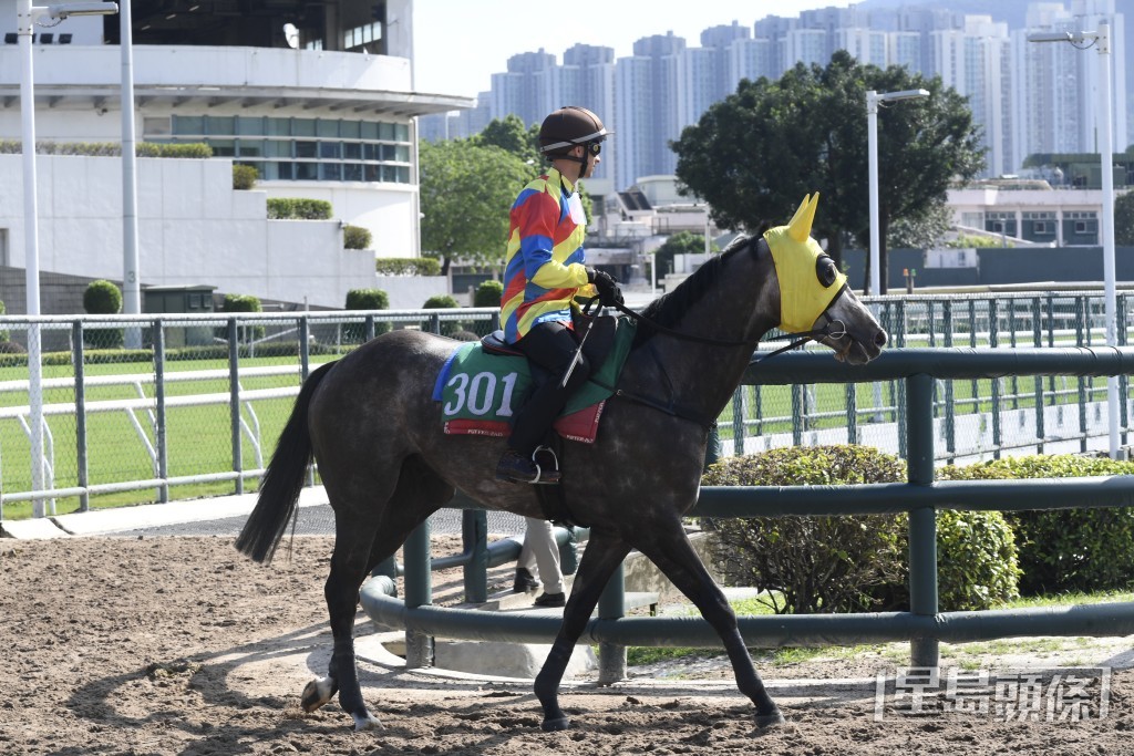 「豐盛多彩」有條件交出進步表現，爭取轉倉後首場頭馬。