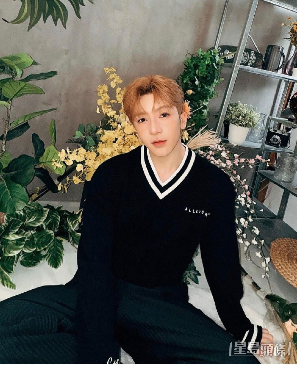 Anson Lo成為善心藝人榜樣。