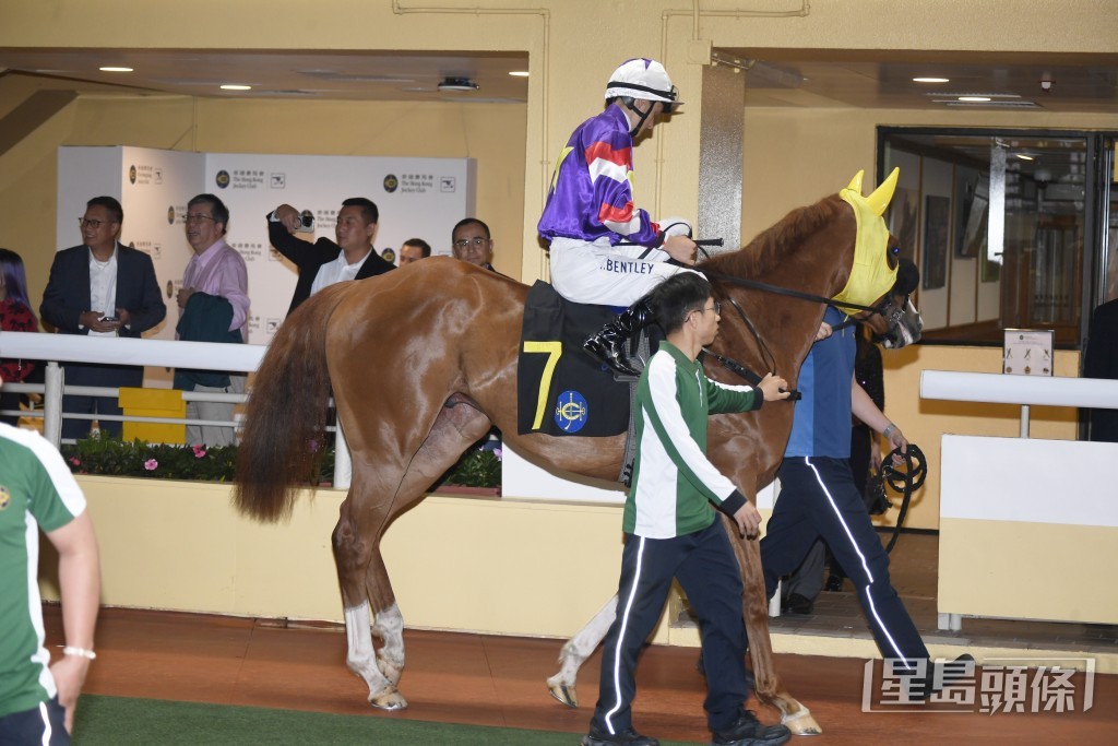 「紫辰之星」上场初跑谷草一六五○米，即能后上得第五名。