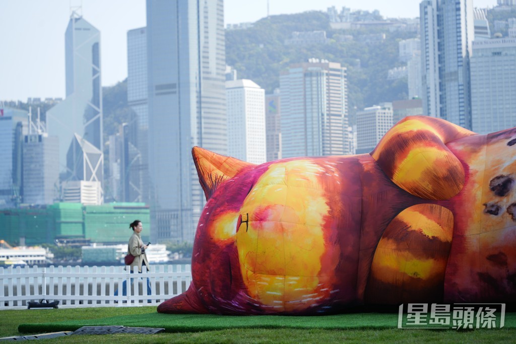 互動藝術裝置《夢遊喵境》首次於亞洲展出，市民可到場感受一下「牠們」的呼嚕聲與心跳。