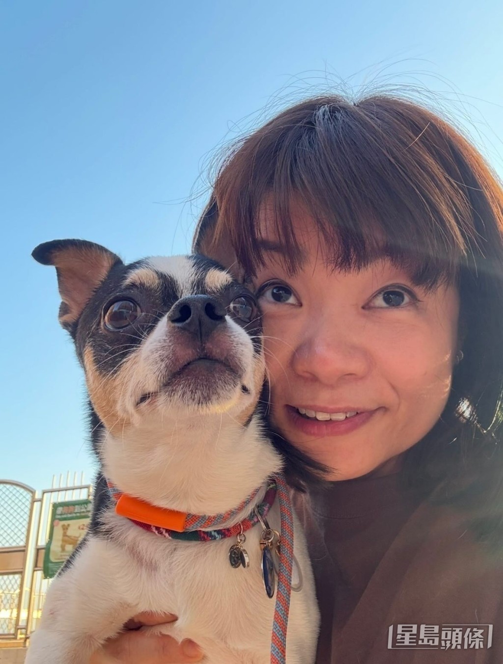 小儀抱住愛犬投入人生另一條航道。 小儀抱住愛犬投入人生另一條航道。