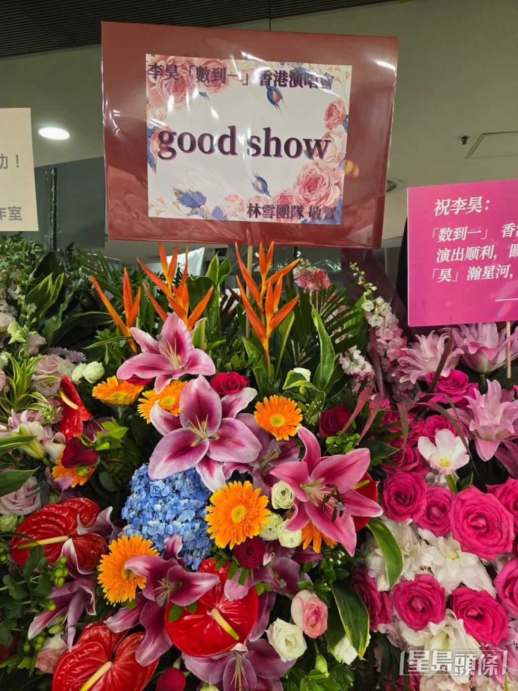 林雪團隊