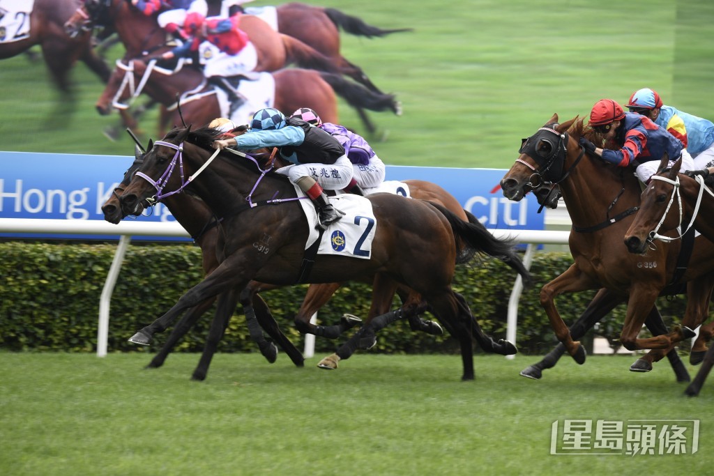 「新力高升」今仗在艾兆禮胯下，有力再捷。