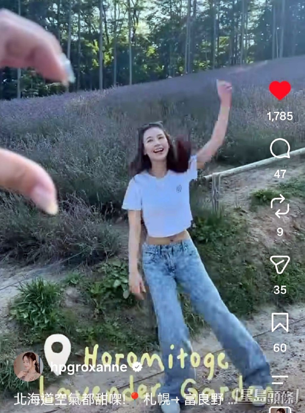 何沛珈趕尾班花海影靚相。