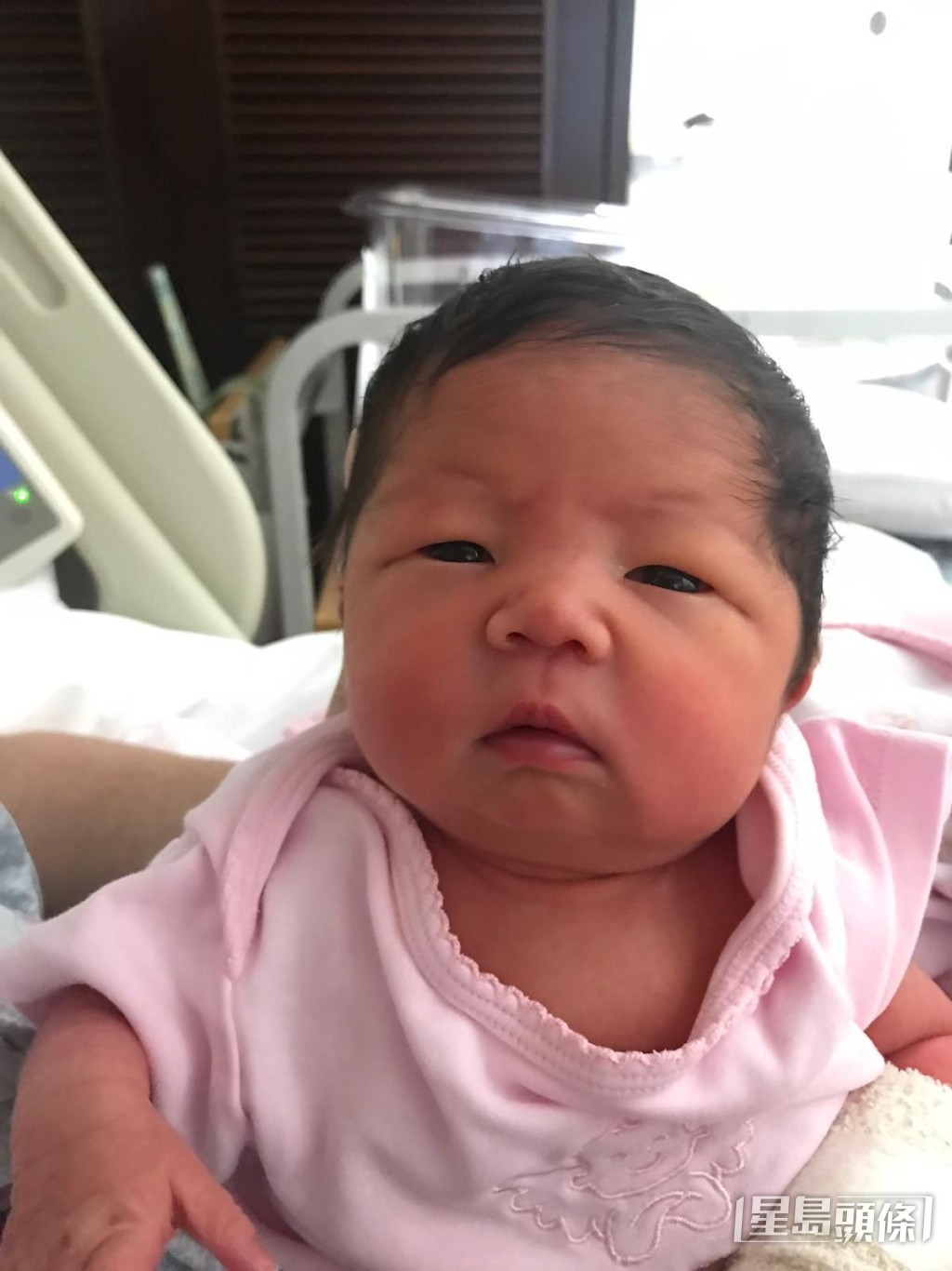 初生小黃妃。 初生小黃妃。