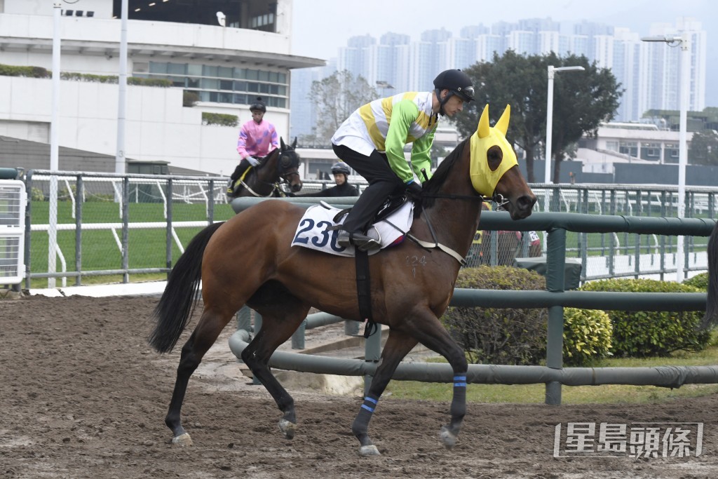 「扶搖勢勁」神情專注目光如炬，佳態洋溢氣勢盛。