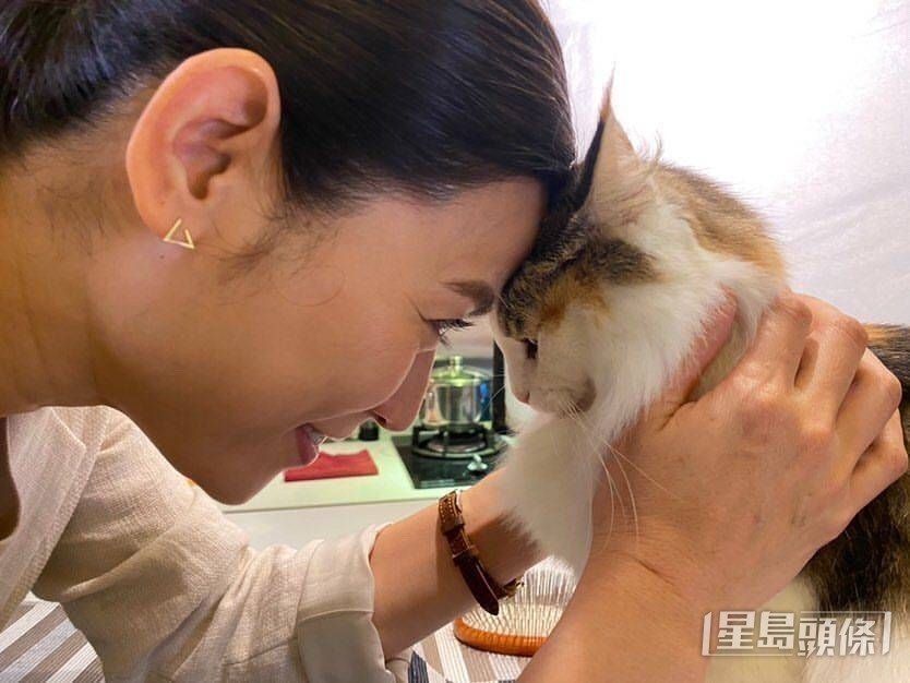 最近宣萱早出晚歸工作，家中的「情人」愛貓不太開心。