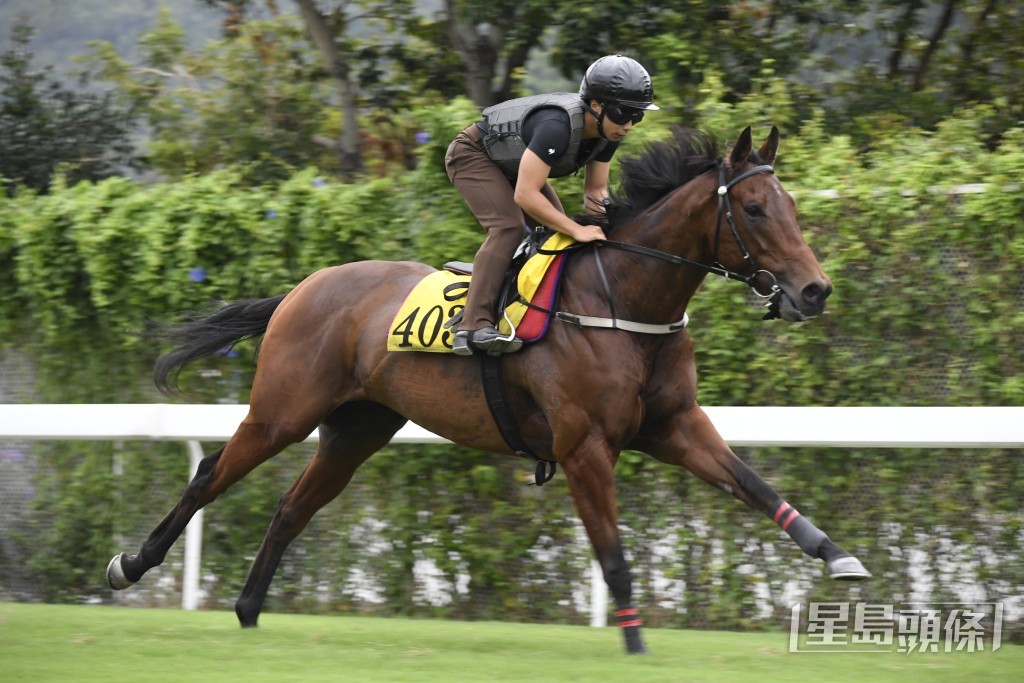 「時間寶」充滿勁度，神態活潑火氣好。