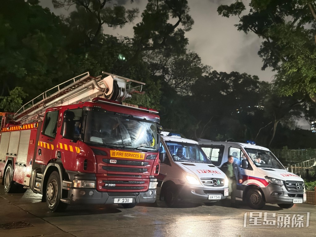 搜救人員冒雨上獅子山尋找郭靄筠。 搜救人員冒雨上獅子山尋找郭靄筠。