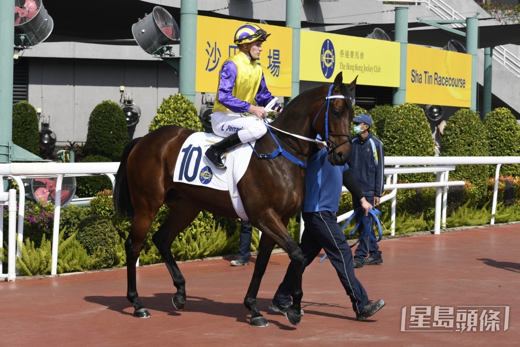 「聰明導彈」近期狀態回勇，有機會在明晚爭勝。