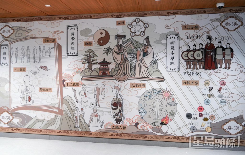 每一層的大堂背景牆展示從先秦至清代中醫藥發展的成就及著作。 每一層的大堂背景牆展示從先秦至清代中醫藥發展的成就及著作。