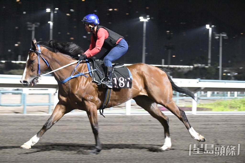 「朗日雪峰」暗火展现双目有神，未见低落。