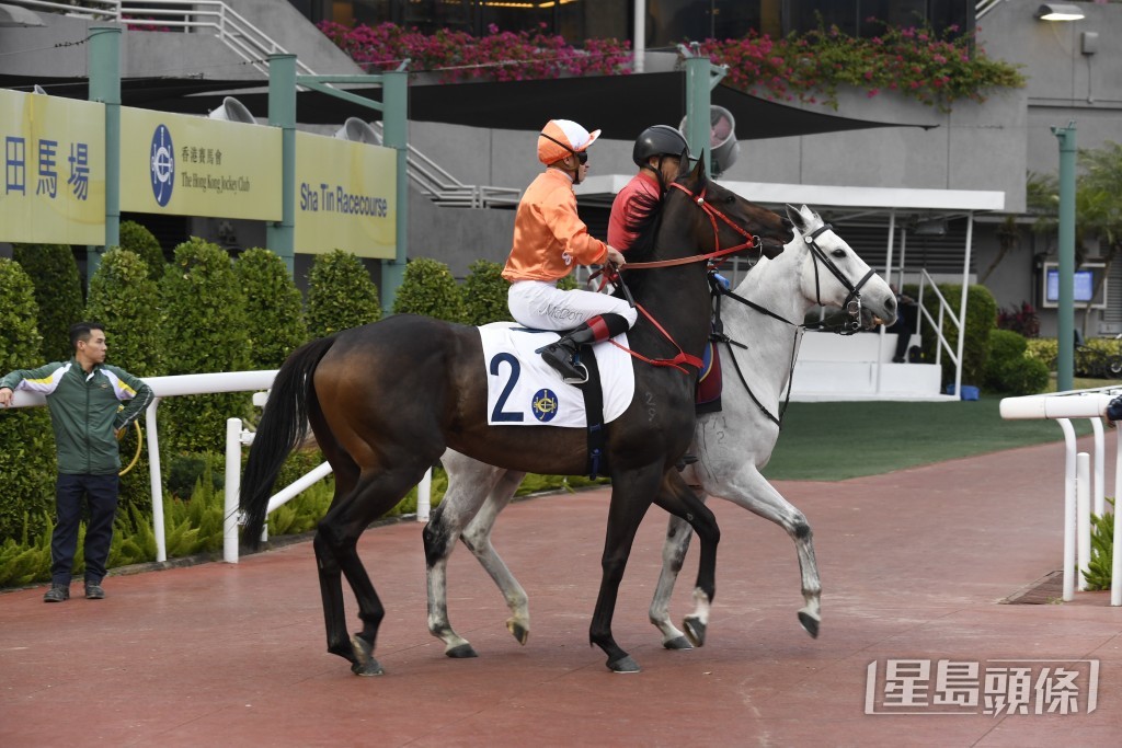 蔡約翰表示「嫡愛心」今後將繼續進步，而今仗也會跑出水準。