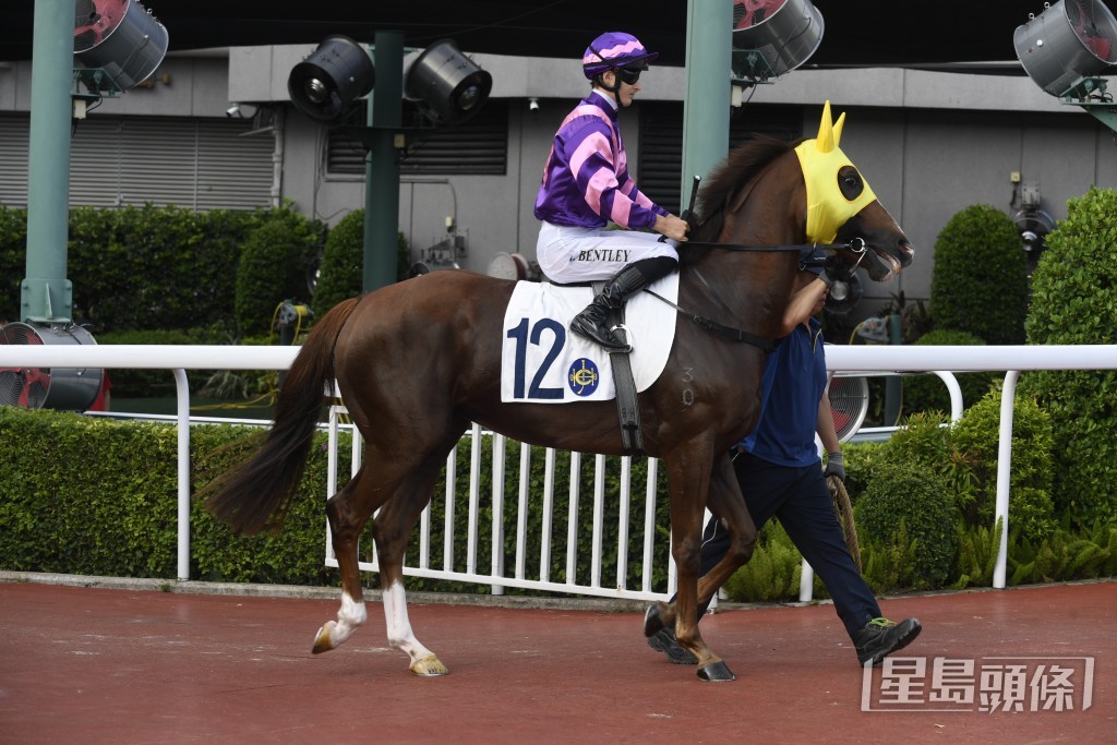 「河好運」今次有力贏馬補中。