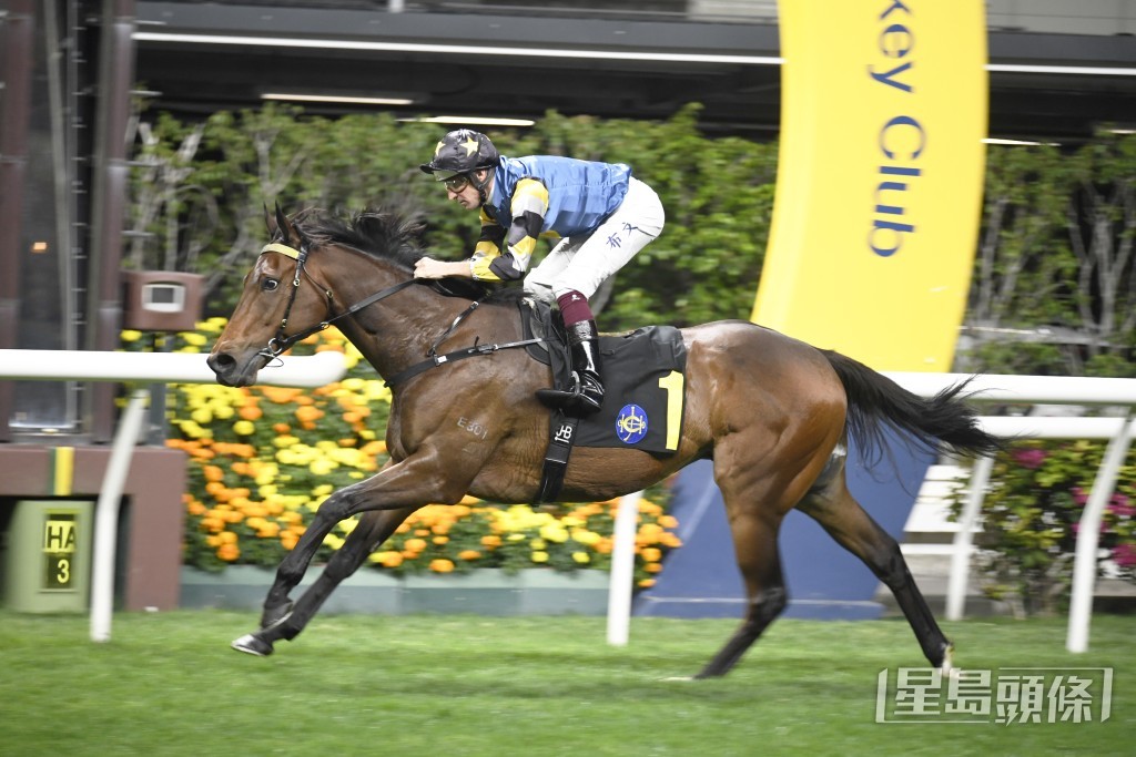 「電源之駒」將出戰騎師賽第四關第八場三班千二米。