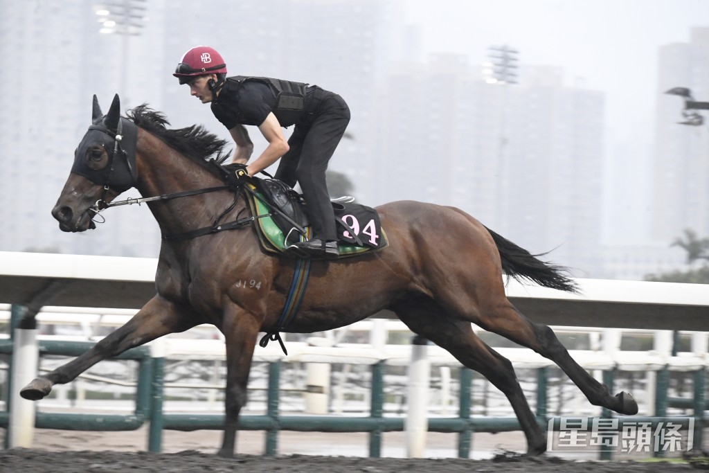 「超旺財」馬身札實神態活潑，一直見好不遜勝時。