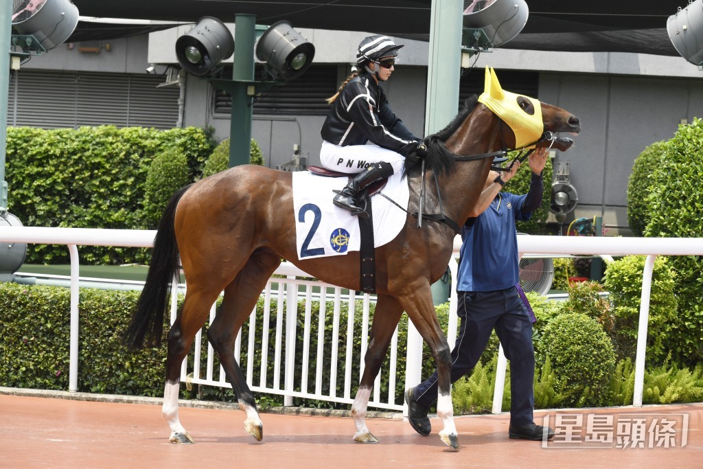 「满洛城」今次初跑谷草千八米。