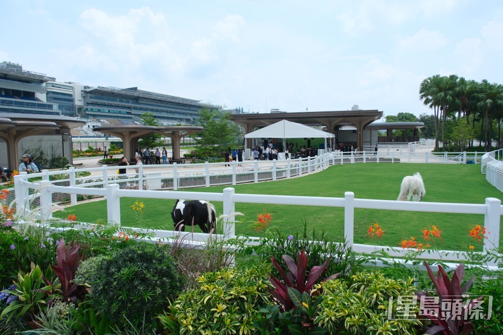 沙田彭福公園社區設施「小馬大本營」。