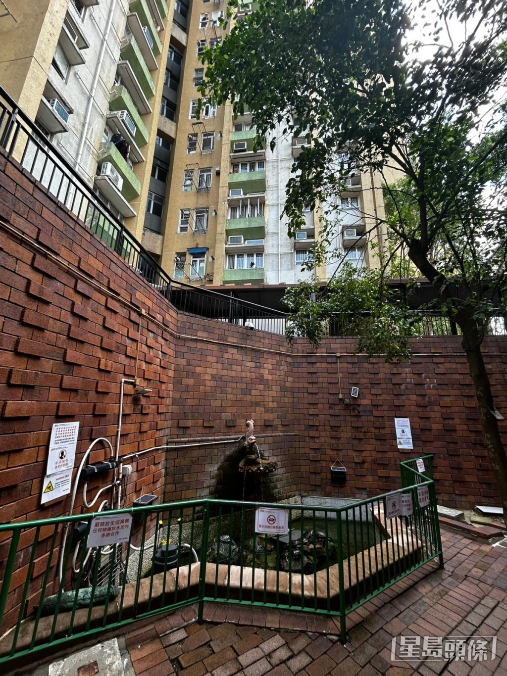 水池在錦英苑二期。楊偉亨攝