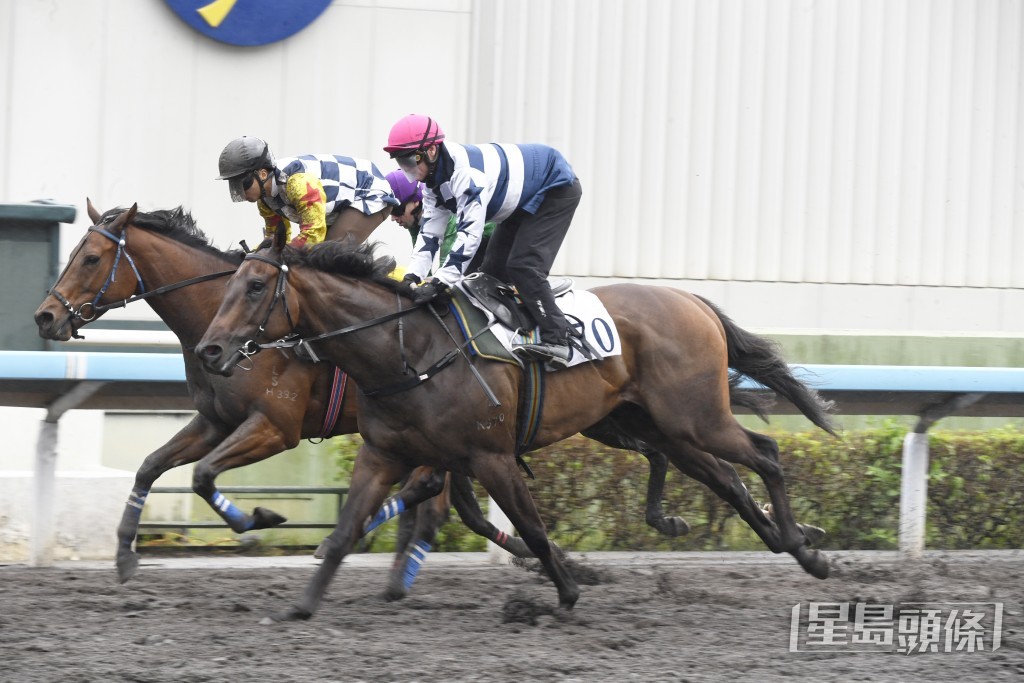 「包装天王」将出战第六场四班千四米。