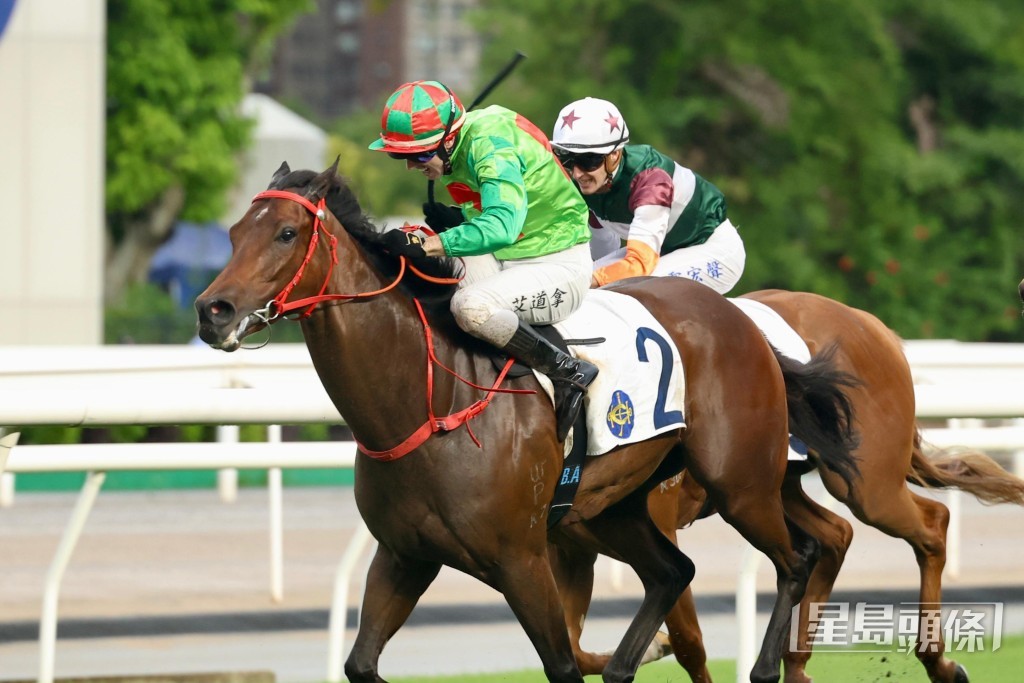  「泰泰精神」上仗在谷草一哩賽上名。