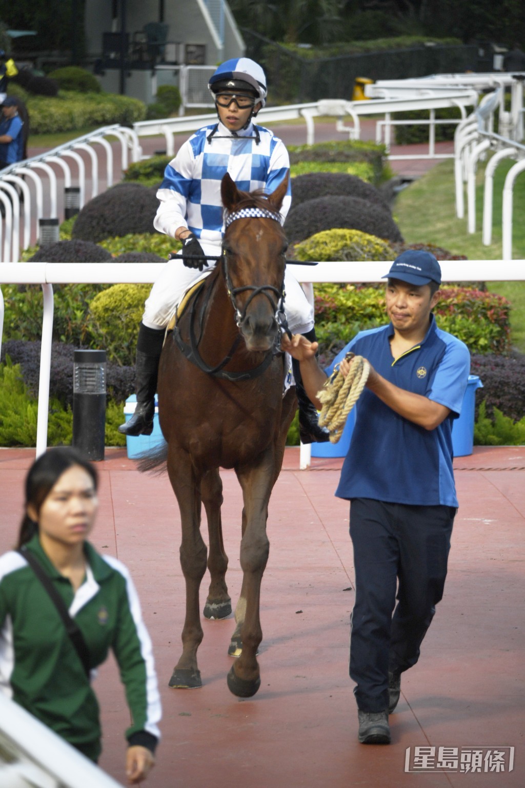 「飞雪神驹」刚战在田草二千米后上跑第三。