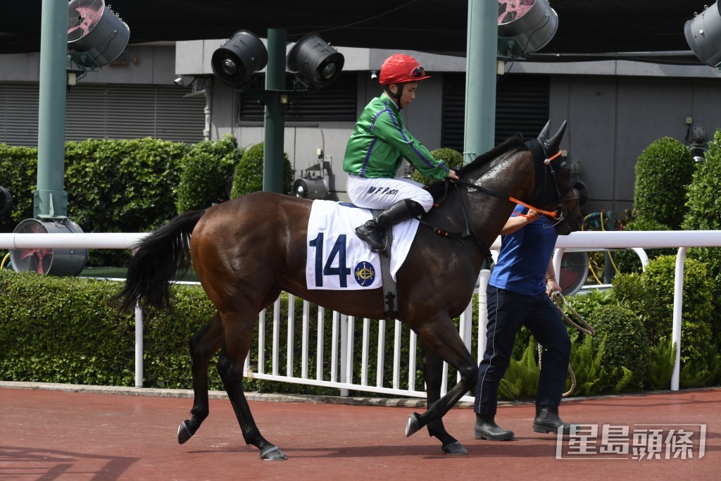 「東方福寶」今次改配田泰安出戰同程。