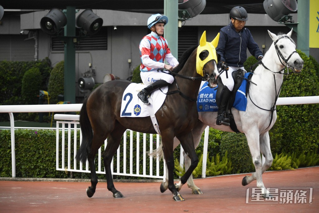 「幸运风彩」明日将列阵尾场三班千二米。